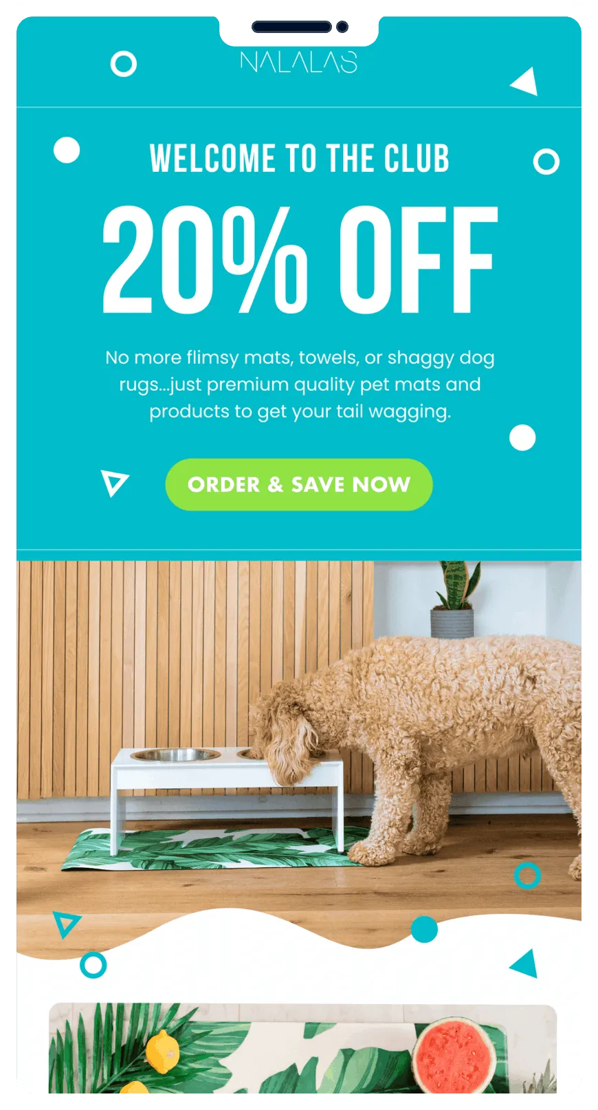 Email mockup example